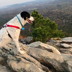 Meet your Posher, Tia